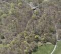  brooklyn  - prospect park the ravine -2
